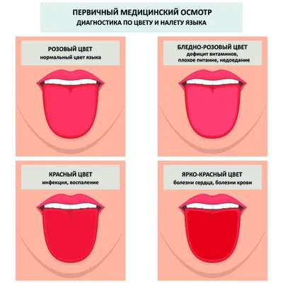 Фотография с великолепными тонами Алого цвета