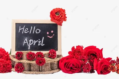 Роскошные апрельские цветы: бесплатно скачивайте HD изображения