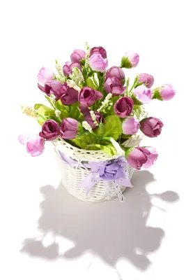 Фото Апрельских цветов: красивые обои на телефон в HD качестве