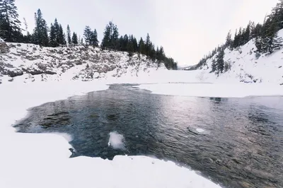 Фото багрового цвета в Full HD разрешении на айфон