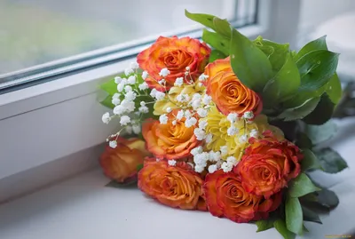 Пастельный букет цветов дома на окне: выберите формат и размер изображения