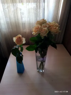 Обои на рабочий стол с букетом цветов дома на окне