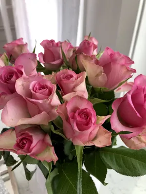 Фото букетов цветов дома: красивые обои для вашего телефона