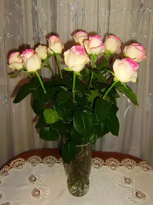 Все оттенки радости: прекрасный букет цветов для вашего дома (фото)