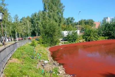 Невероятные фотографии, передающие гармонию бурого цвета