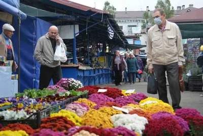 Яркие и качественные jpg-изображения Дубки цветы