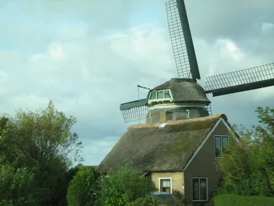 HD-изображения цветочного фестиваля в Голландии