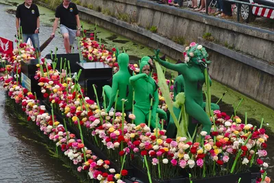 Фото Фестиваль цветов в Голландии: феерия красок и ароматов