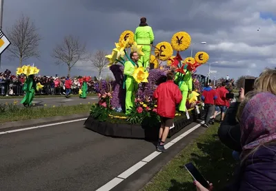 Картины фестиваля цветов в Голландии: настоящее искусство.