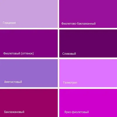 Элегантные образцы фиолетовой одежды: Найдите свой идеальный вариант