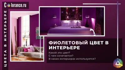 Картинки фиолетового цвета: яркие фотографии для рабочего стола