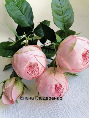 Фоамиран цветы: новое изображение каждый день - скачивайте бесплатно в любом формате