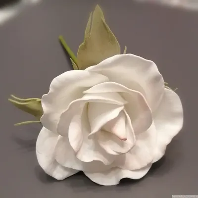 Фоамиран цветы: изображения в формате WebP для бесплатного скачивания