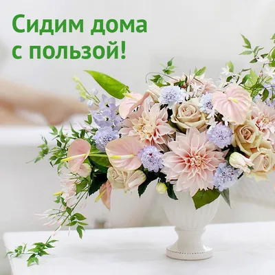 Фото Фоамиран цветы: выберите свой формат - JPG, PNG или WebP