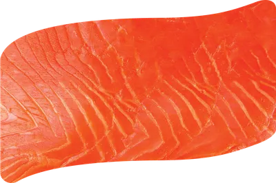 Фото Форель радужная цвет мяса в высоком разрешении, формат изображения JPG