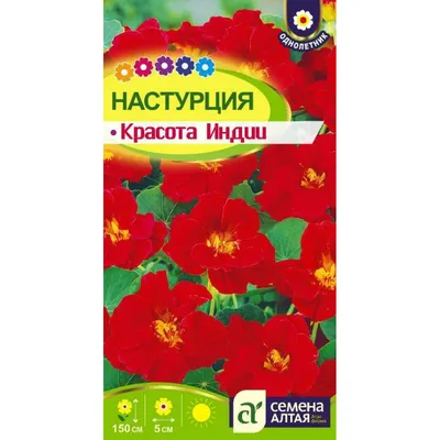 Скачать бесплатно фото индийских цветов: добавьте красоты в свою коллекцию