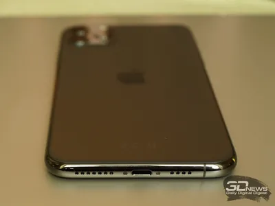 Обои на рабочий стол с картинками цветов iPhone 11 pro