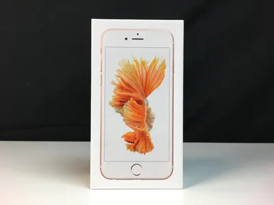 Красивые обои на телефон с изображением iPhone 6 - фотография в HD качестве