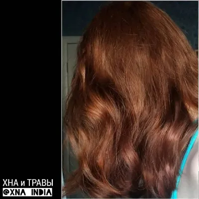 Воплощение женственности: каштаново рыжий цвет волос на фотографиях