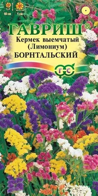 Искусство в каждой детали: фото кермеков для вашего планшета.