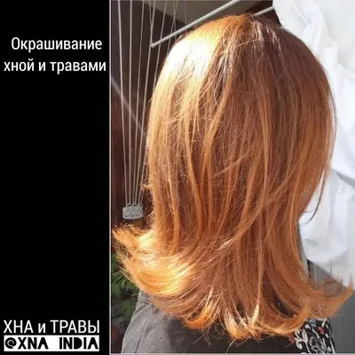 Хна цвет волос: бесплатные фото и обои в Full HD разрешении