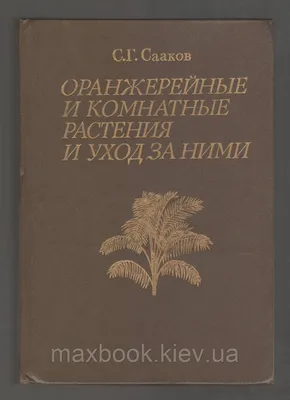 Изображения комнатных цветов в HD качестве