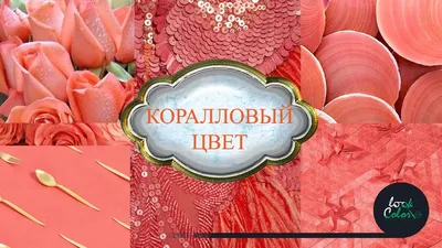 Природное чудо: впечатляющая красота коралловой гаммы