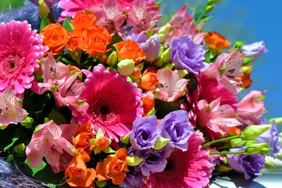 Романтические цветы: красивые фотографии в хорошем качестве