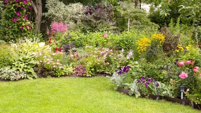 Живописный вечерний сад: фото многолетних цветов, привносящих магию в клумбу