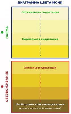 Картинки Нормальный цвет мочи: бесплатное скачивание в HD качестве