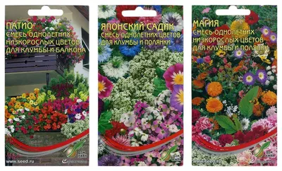 Однолетние цветы для клумбы: красивые фотографии идеального сада