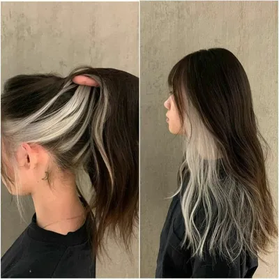 Образцы окрашивания волос в два цвета: выберите свой стиль