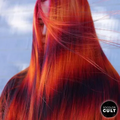 Окрашивание волос в два цвета: загляните в мир красок на наших фотографиях