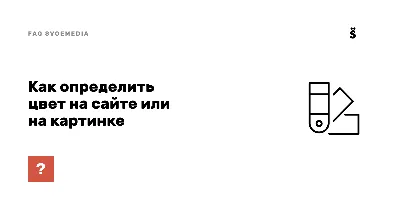 Цветочное манящее: фото, погружающие в мир цветов