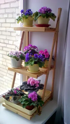 Чудесная деревянная подставка для цветов - фото в формате PNG
