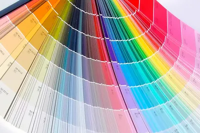 Игра света и цвета: удивительные фото с двухцветными короедами