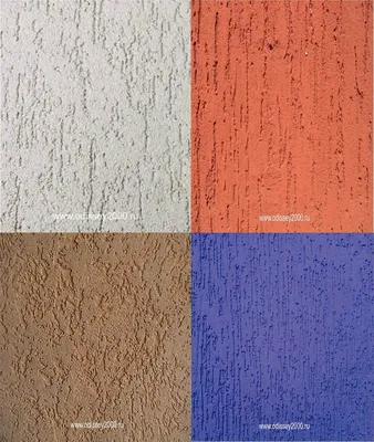 Фотография Покраска короеда в два цвета на телефон