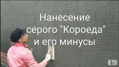 Обои на рабочий стол с изображением Покраска короеда в два цвета