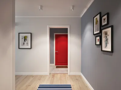Дизайн с двумя цветами: Фото идеальной покраски стен