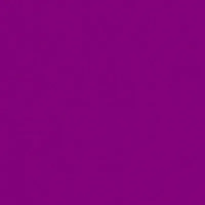 Фото роскошных фиолетовых цветов