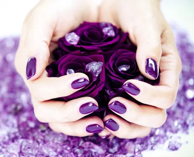 Арт на тему цветов: пурпурная прелесть