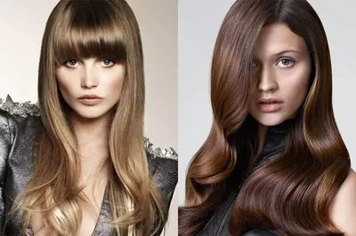 Русый цвет волос до и после: качественные изображения