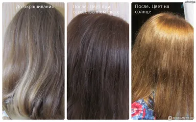 Русый оттенок волос до и после: совершенствуйте свой образ