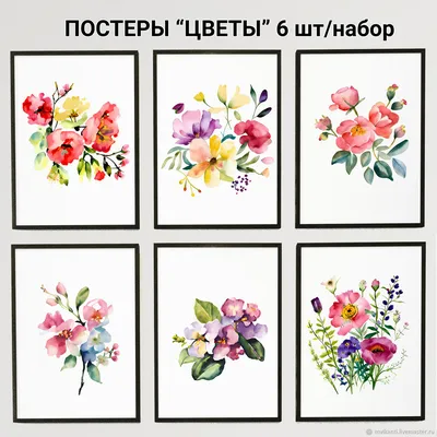 Фотографии цветов на стену для обоев на телефон