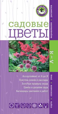 Откройте для себя живопись природы: фото садовых цветов и советы по уходу