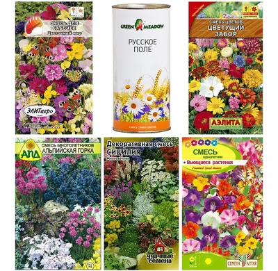 Семена цветов каталог: Фото волшебных садов для вдохновения