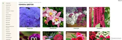 PNG фотографии семян цветов - прозрачный фон для использования на любом фоне