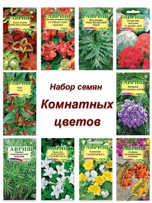 Семена цветов каталог: Полезная информация и высококачественные фото