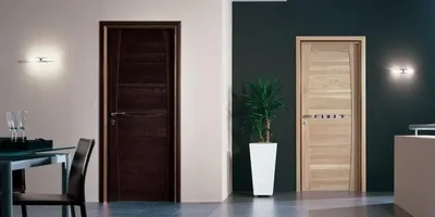 Фото с идеальным сочетанием цветов пола и дверей