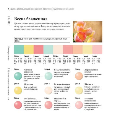 Картинка Сочетание цветов в формате png для бесплатного скачивания